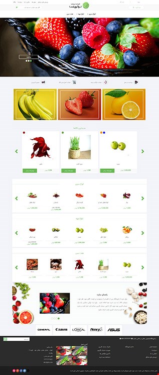  سایت فروشگاهی با قالب شماره 8