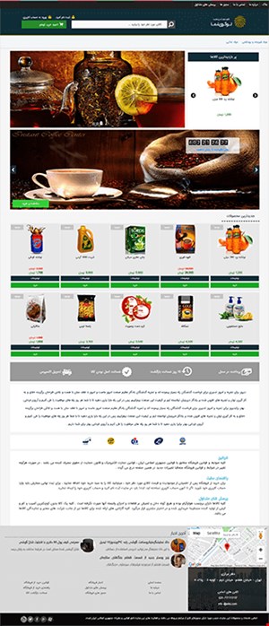 طراحی فروشگاه اینترنتی با قالب شماره 17