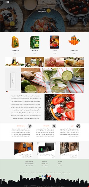 ساست  فروشگاه اینترنتی با قالب شماره 11